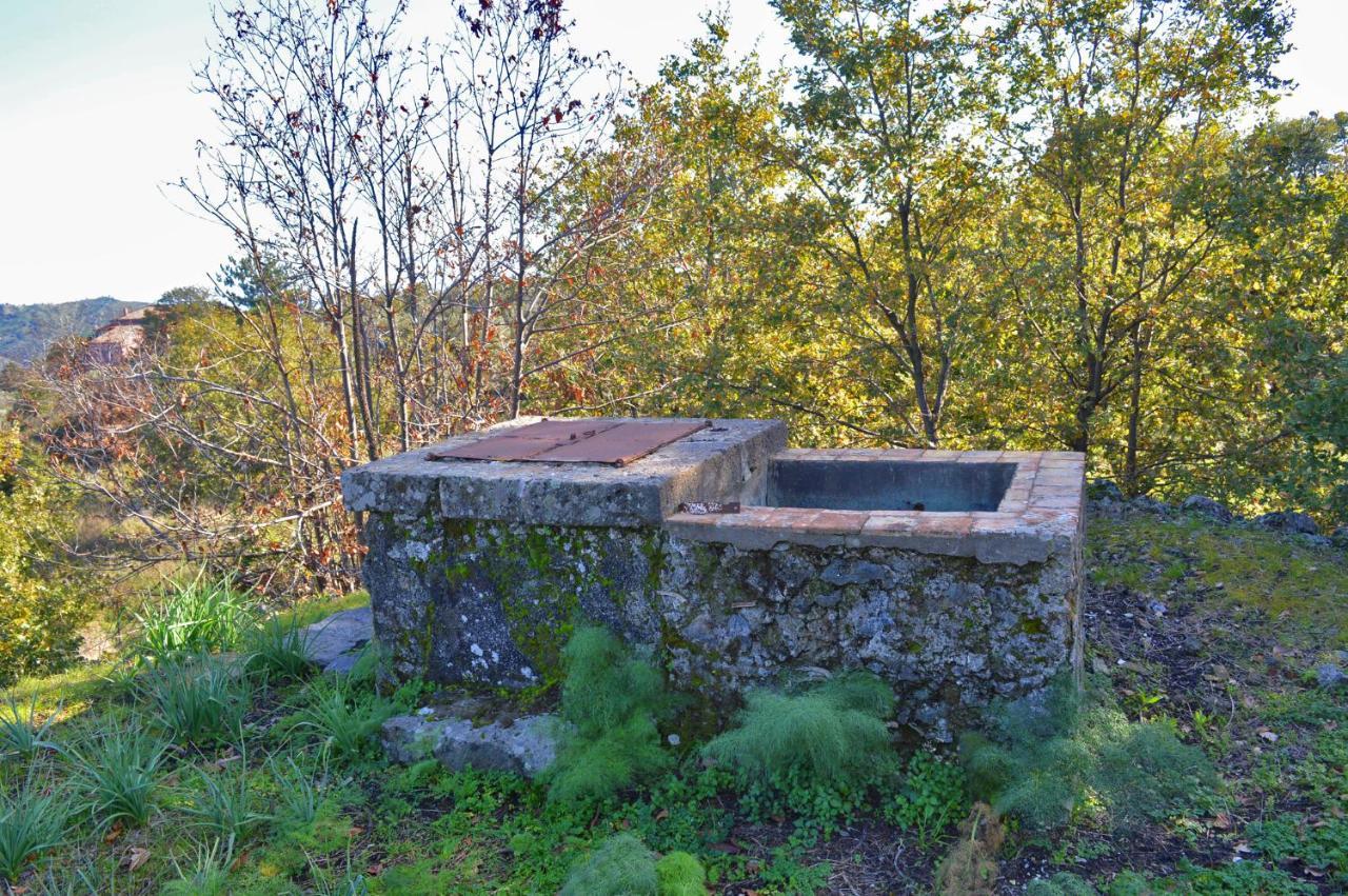 Agriturismo Kikajon Linguaglossa Dış mekan fotoğraf