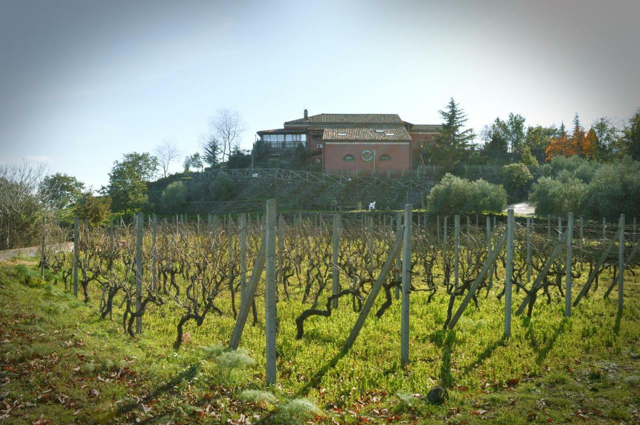 Agriturismo Kikajon Linguaglossa Dış mekan fotoğraf